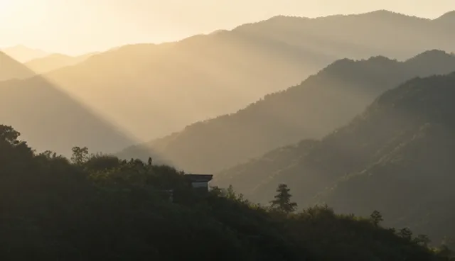 网站维护在多场景中的实际应用分析