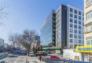 西红柿配送种类