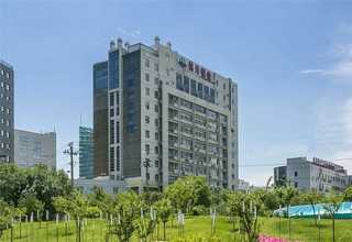 落户状态查询上海