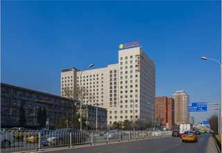 静安黑松修剪价钱